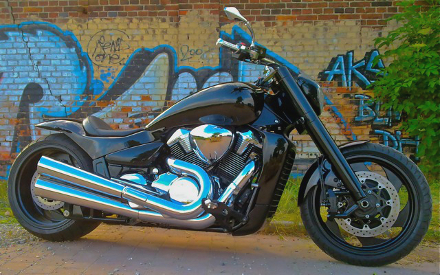 VL 1500 Custom