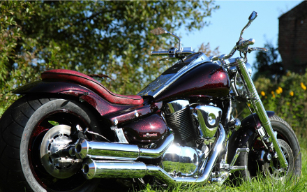 VL 1500 Custom